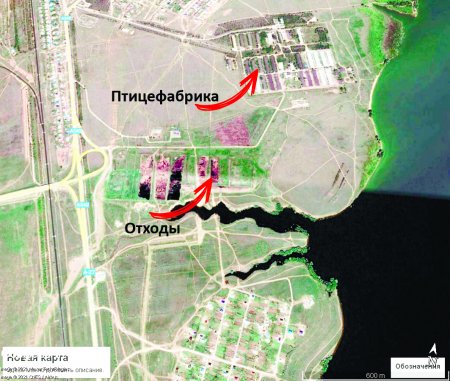 Тысячи тонн отходов птицефабрики могут отравить Актюбинское море