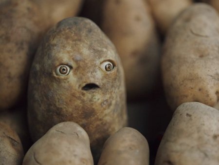 Сколько картофеля собрали в Актюбинской области