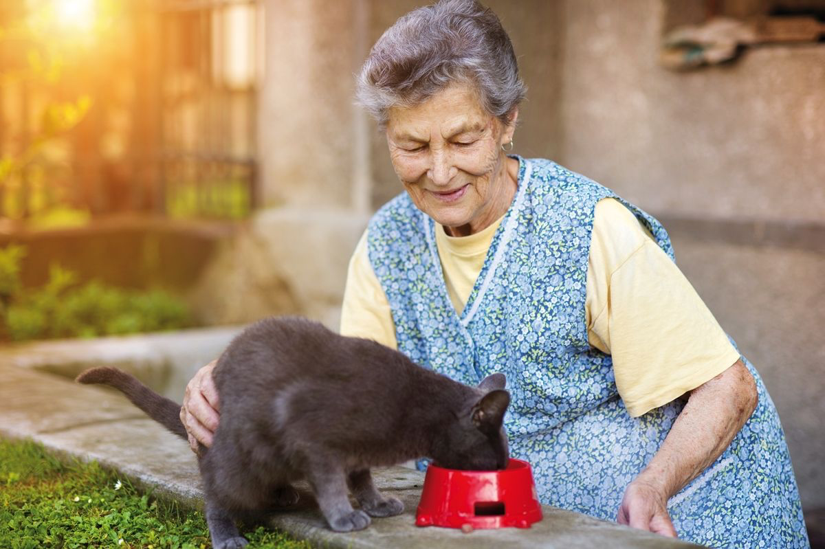 Пенсионерку, кормившую кошку в Актобе, не оштрафуют