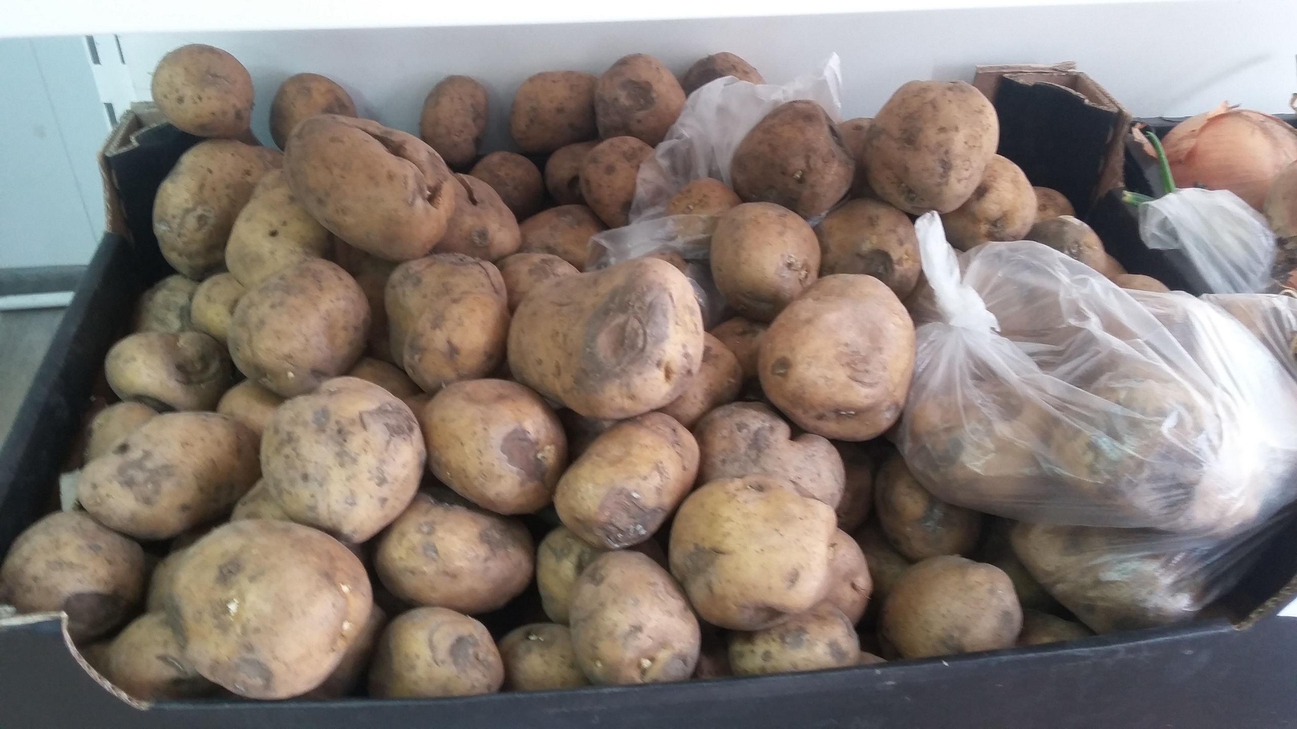 В стабфонде в Актобе закончился дешевый картофель