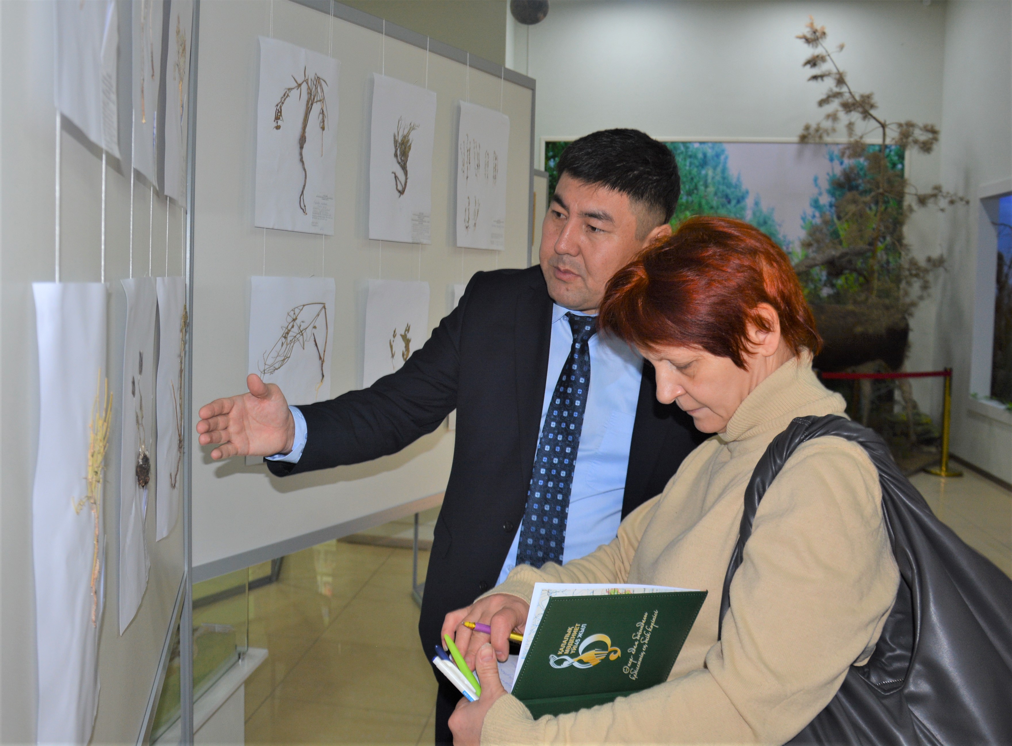 Уникальные растения Актюбинской области могут остаться только в гербарии