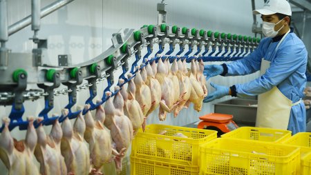 Почему цены на куриное мясо выросли в Актобе