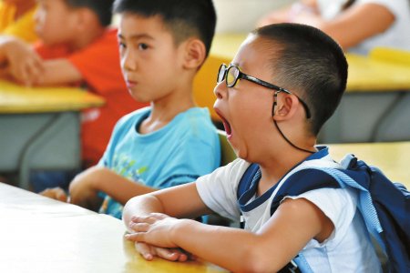 В школах Казахстана введут 7 новых курсов