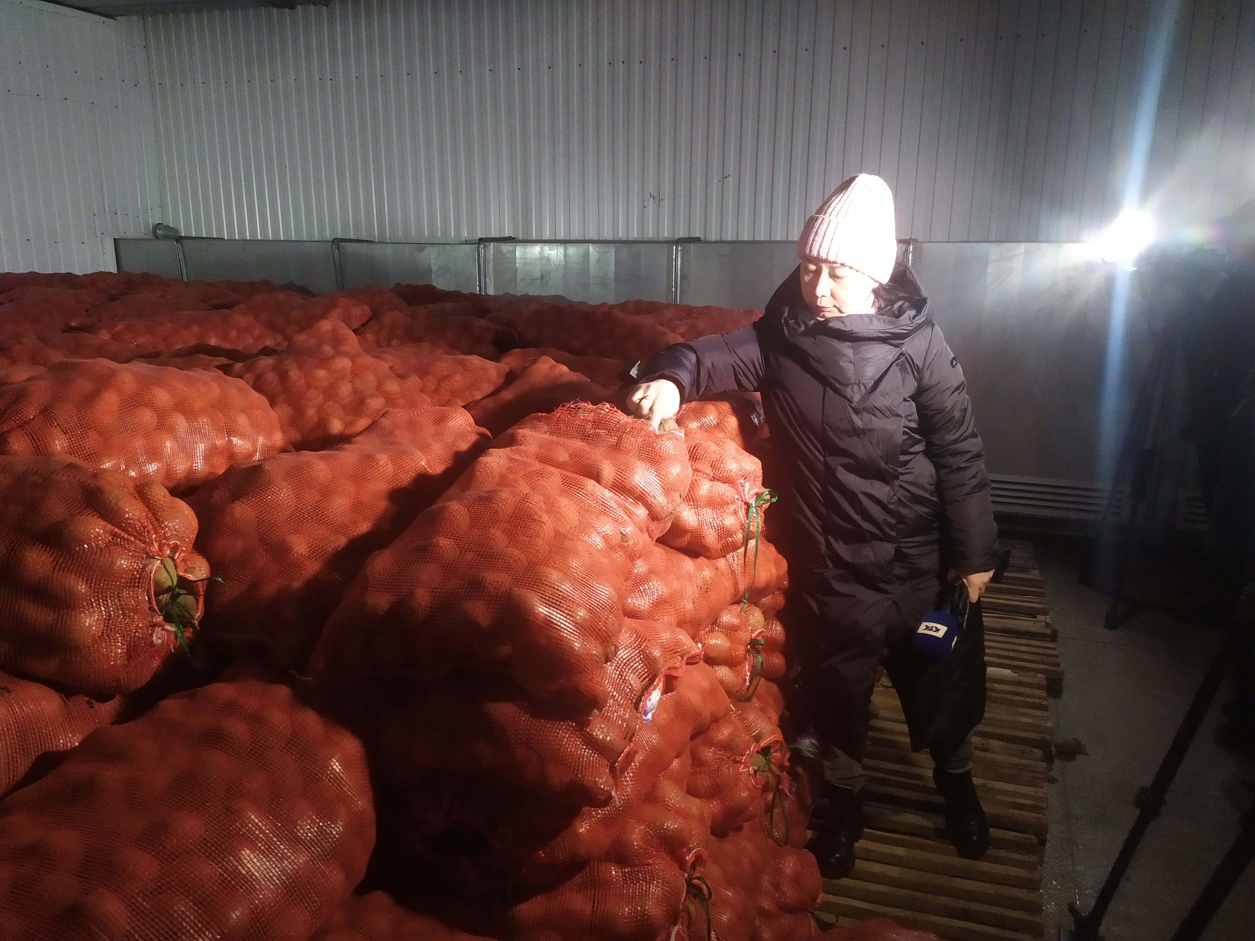 В Актобе в овощехранилище нашли гнилой картофель
