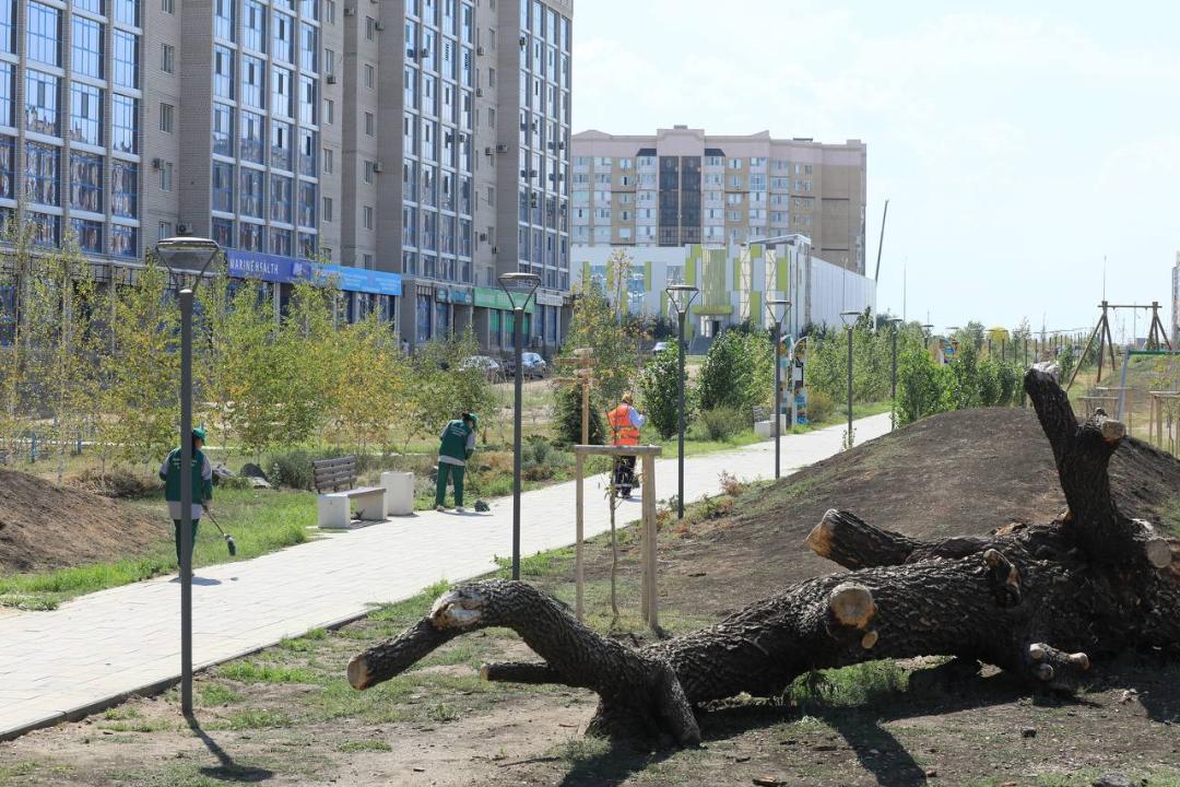 Тугжанов раскритиковал ход реконструкции линейного парка в Актобе