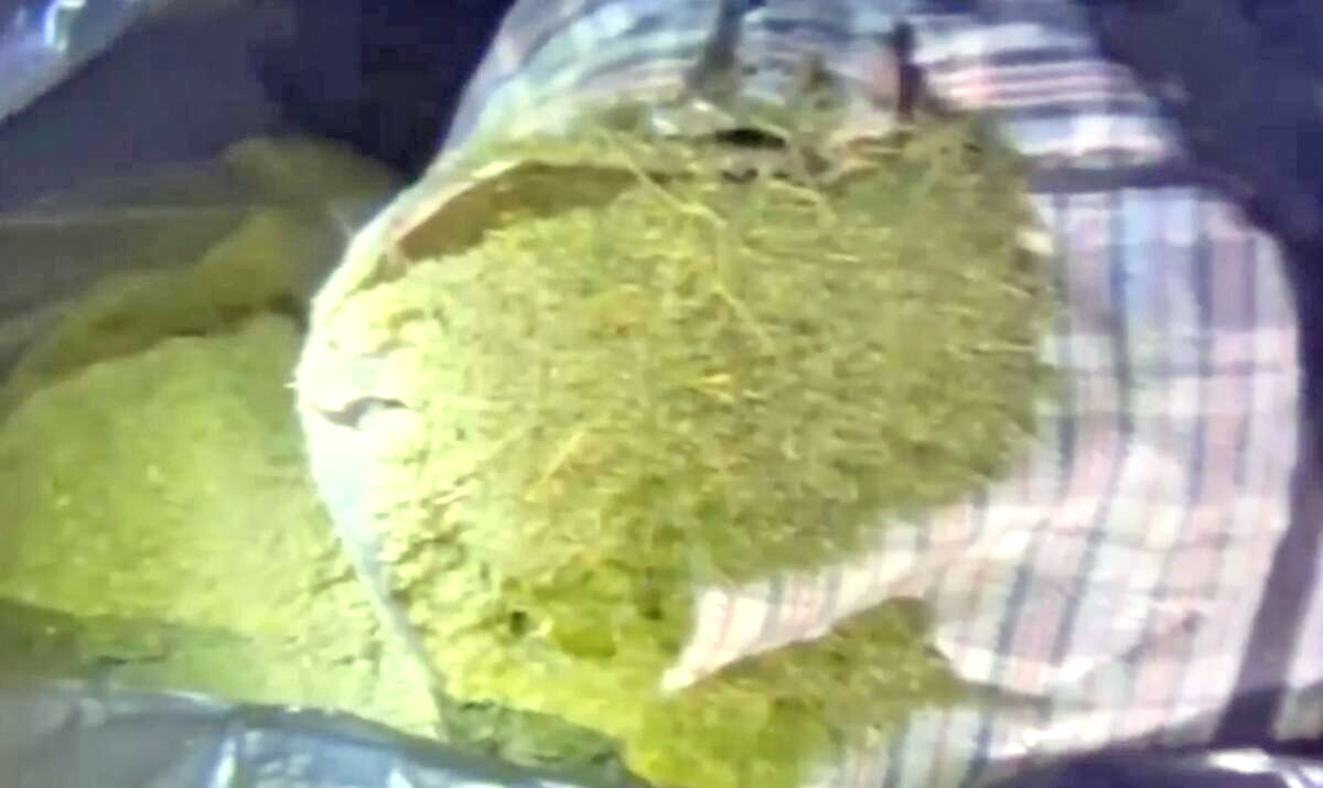 Более 26 кг марихуаны вез житель Актюбинской области