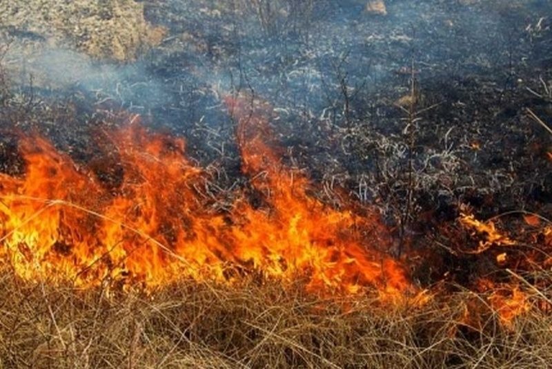 Опасность возгорания сухой травы