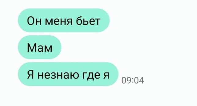 «Мама, он меня бьет»: актюбинка заявила о похищении дочери