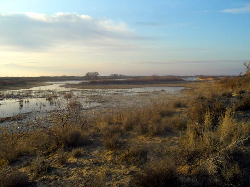 Заказник, спасающий воды Кокжиде, до сих пор не расширили