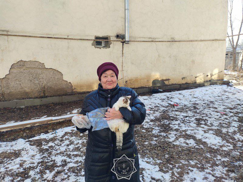 В Актобе сотрудники ДЧС спасли кошку, два дня провисевшую на дереве