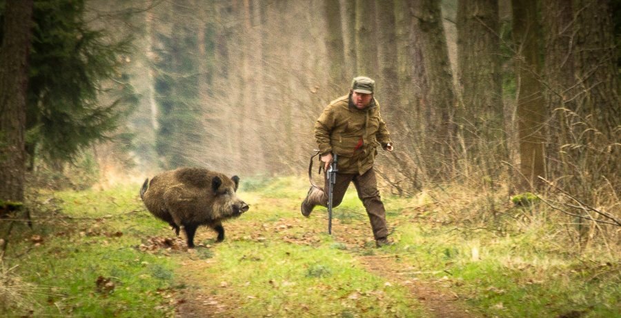 В Актюбинской области осудили охотника за браконьерство