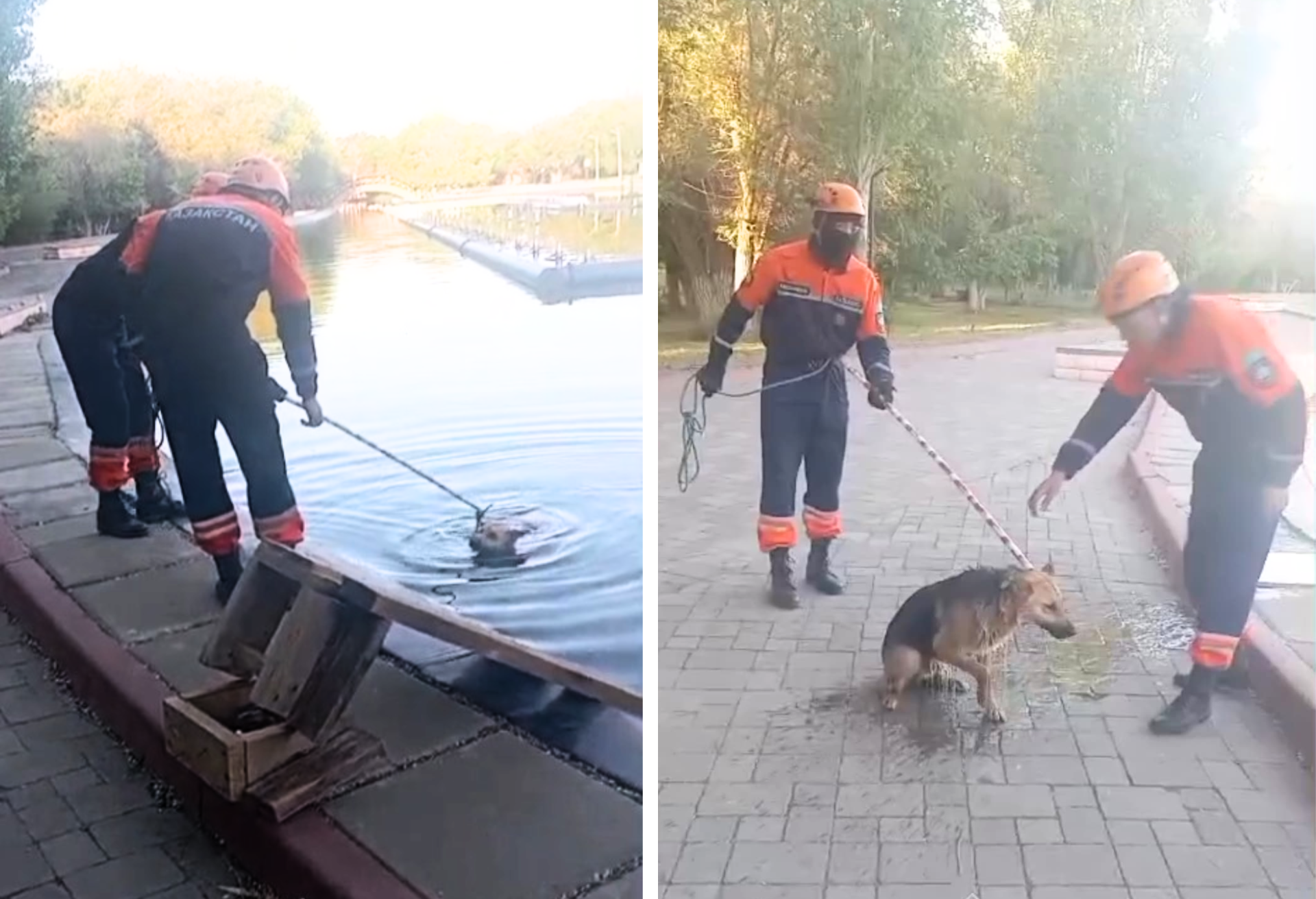 В Актобе спасли собаку, которая едва не утонула в музыкальном фонтане – ВИДЕО