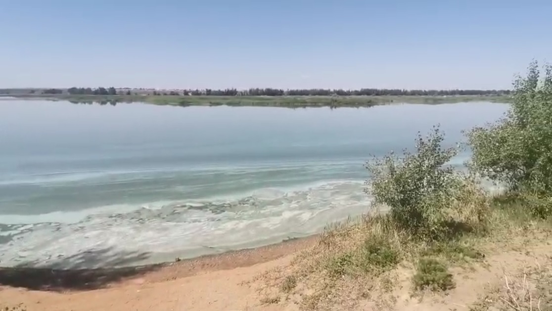 Актюбинское море начало разлагаться