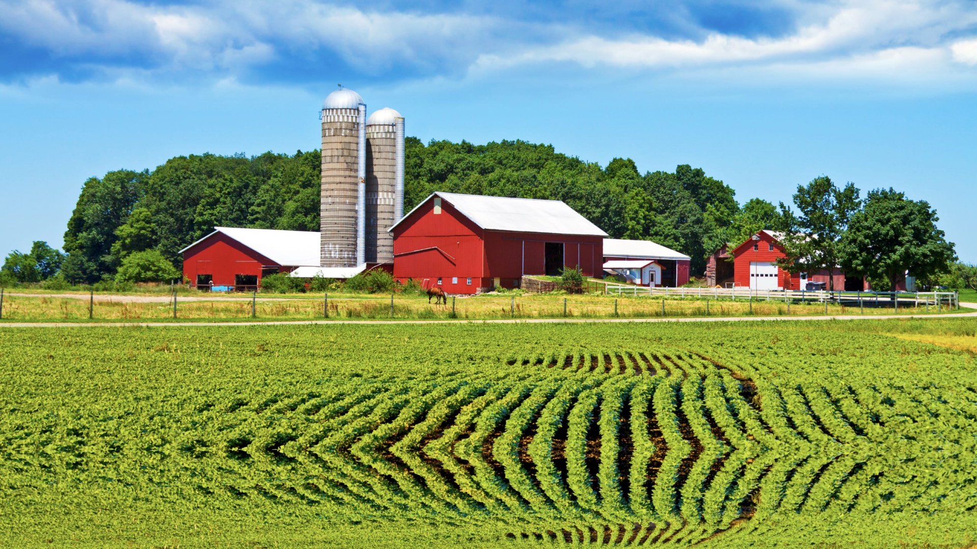 Порядок перевода сельскохозяйственных угодий из одного вида в другой объяснили жителям Актобе