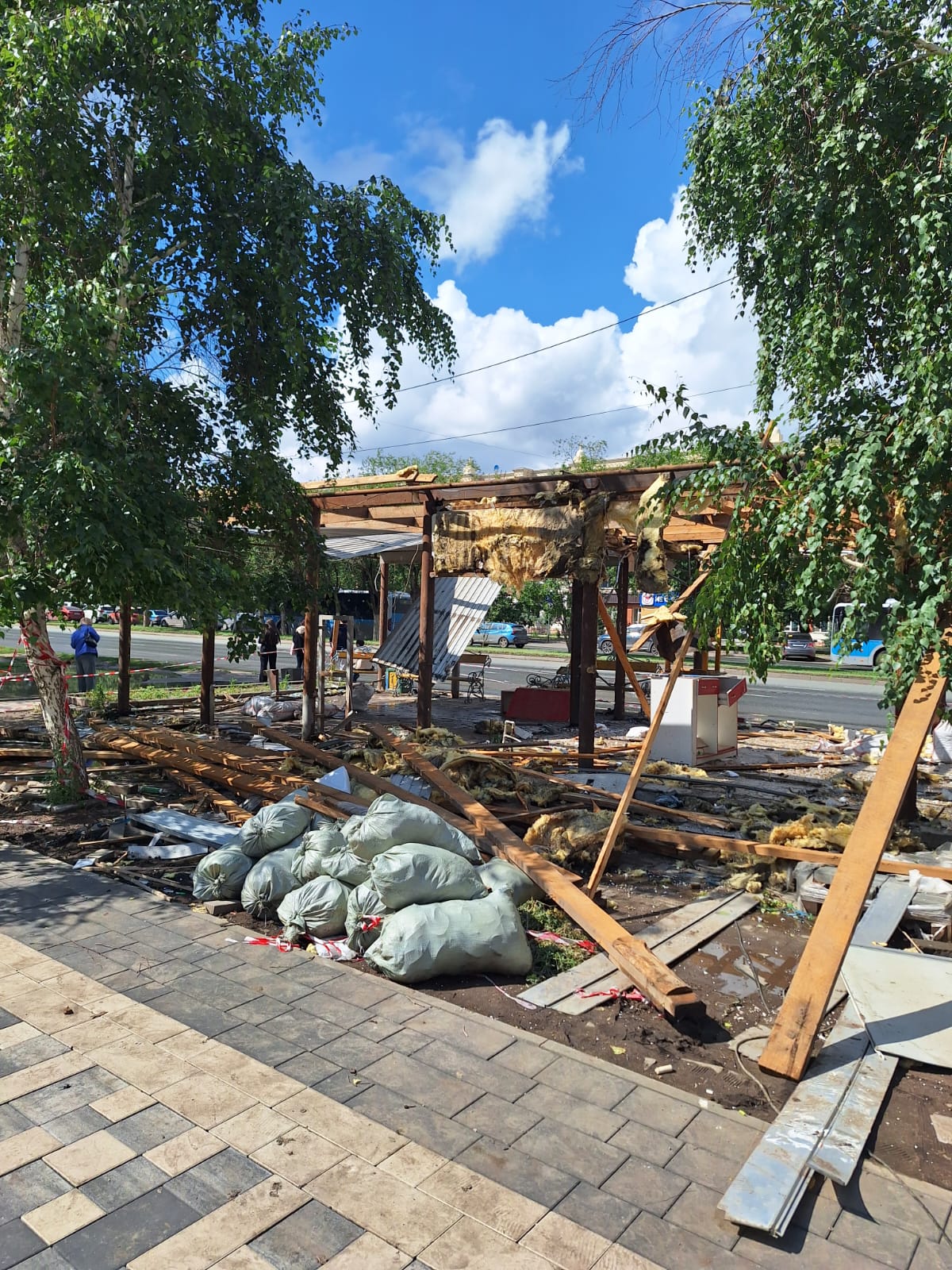 Более 30 деревьев незаконно уничтожили в центре Актобе