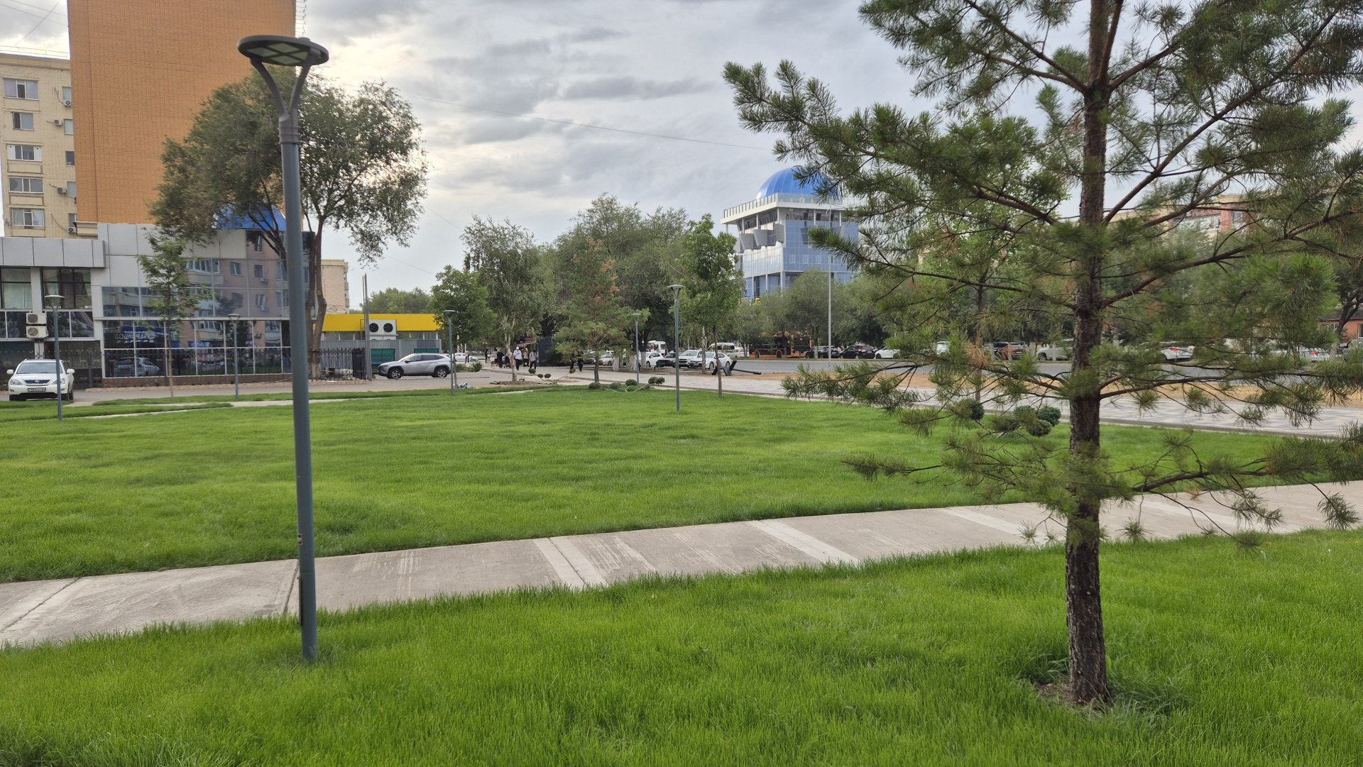 Султан Асанов и новые кусты