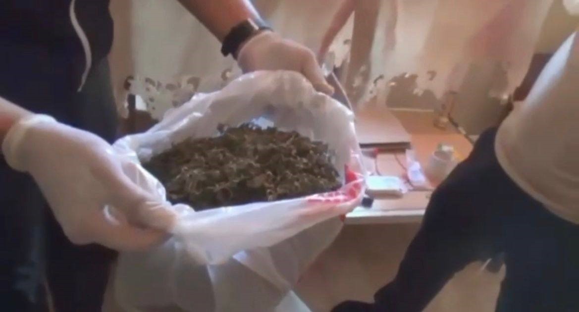 Житель Кандыагаша обустроил плантацию конопли в своей комнате