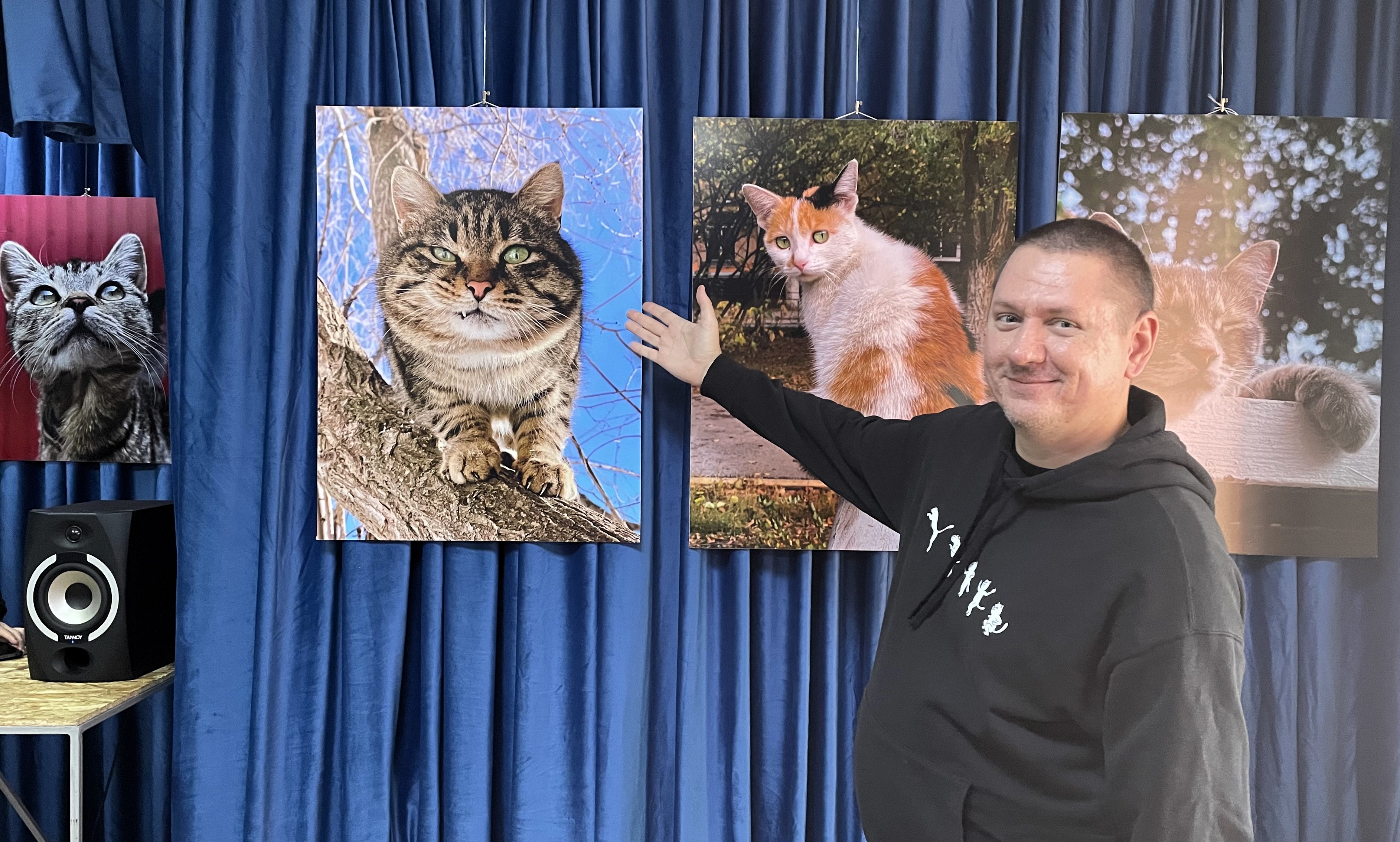 «Кыс-Кыс!»: как актюбинский фотограф превратил котов в героев портретов