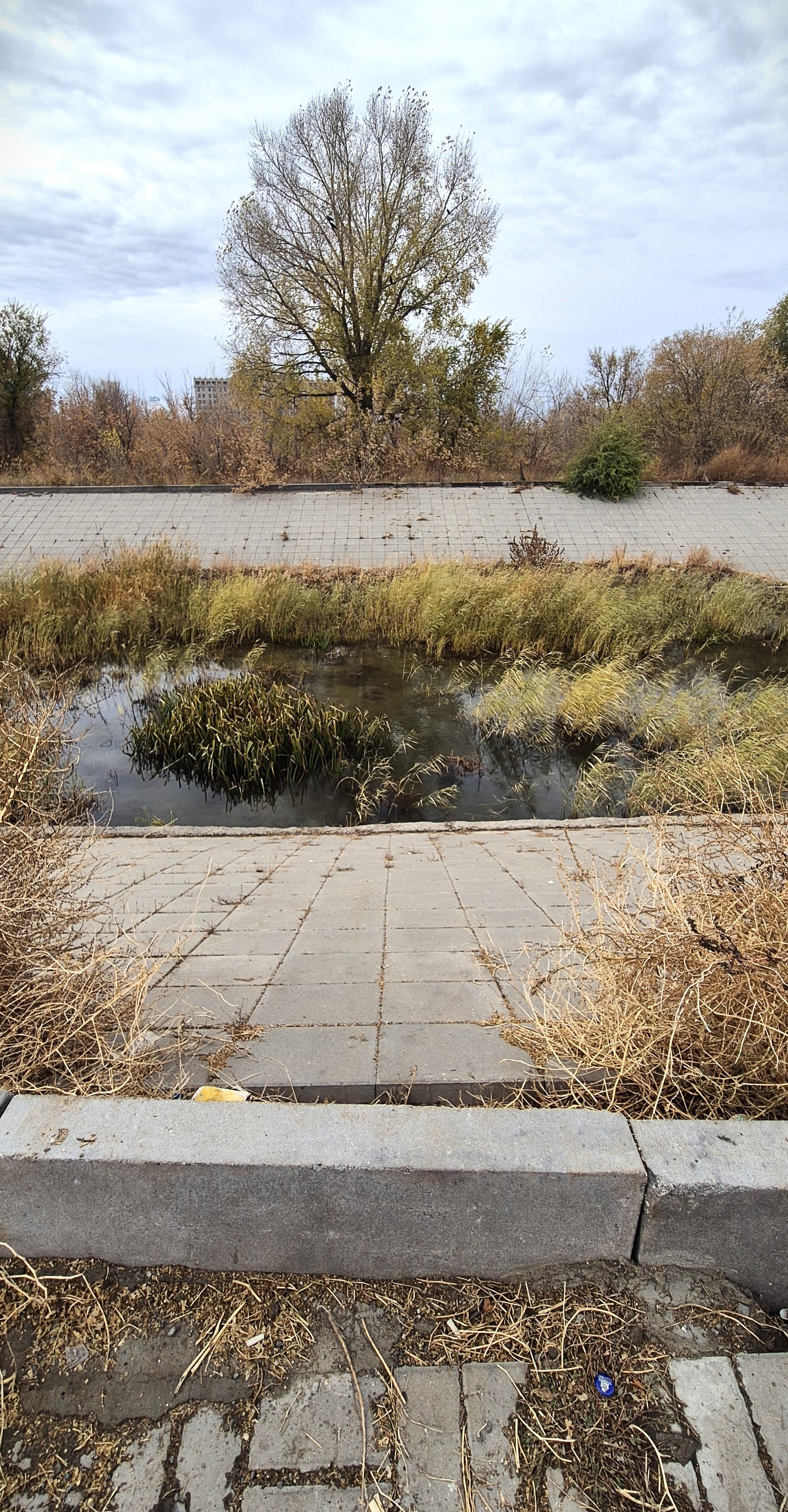 «Тазик вместо реки»: почему зачистка Саздинки будет вечной