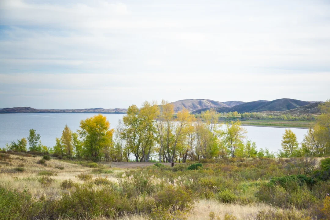 На Каргалинском водохранилище проведут реконструкцию и поставят малую ГЭС