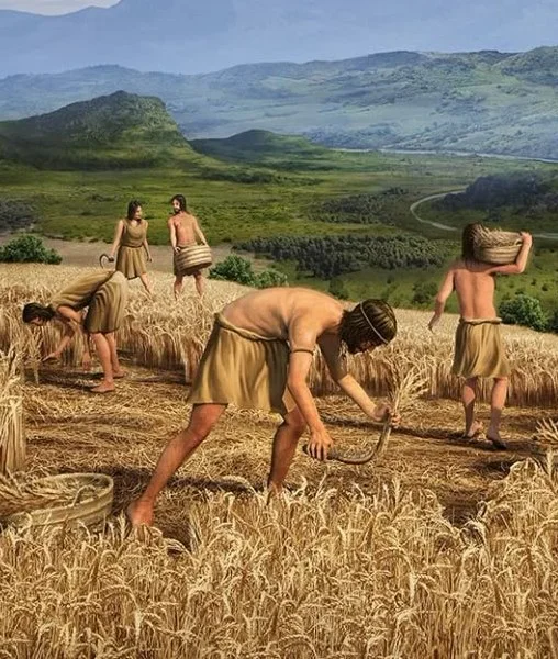 7 тысяч лет назад на Илеке обитали племена, освоившие земледелие