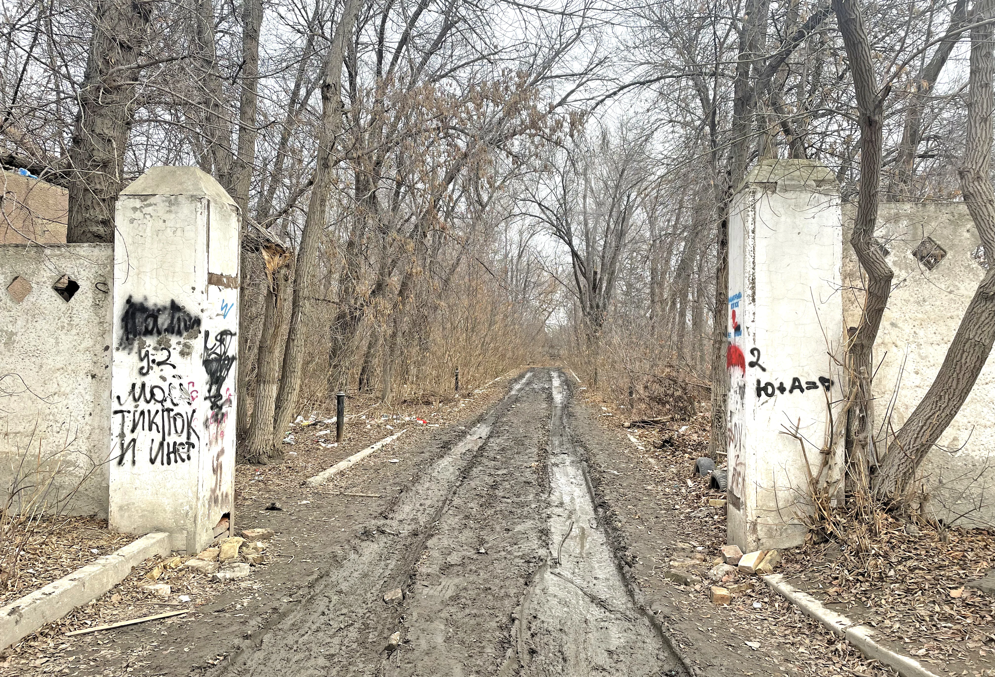 Мусор, шприцы и вырубленные деревья: заброшенный участок в Актобе превратили в притон