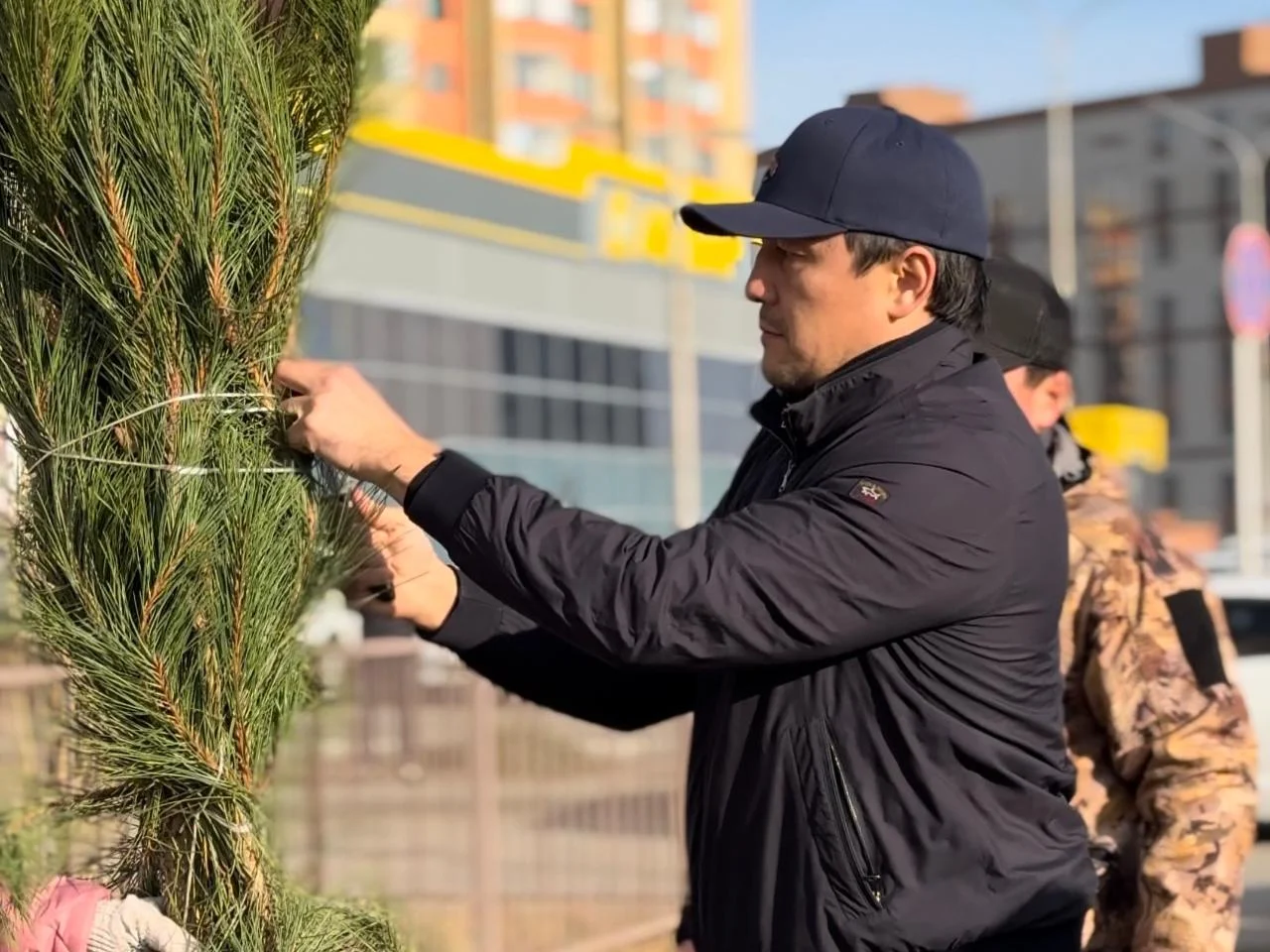 В Актобе высажено более 11 000 деревьев