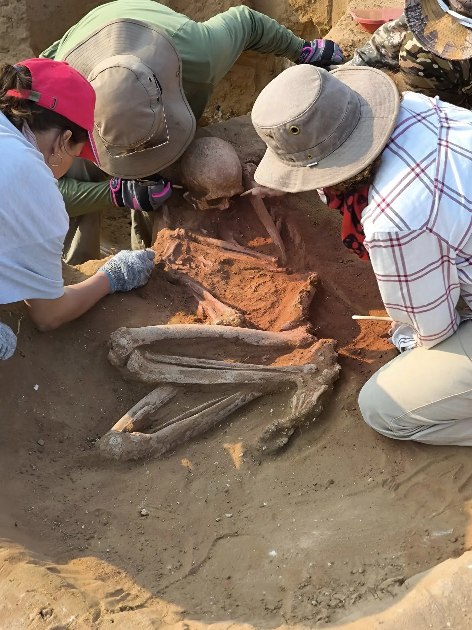 Первые пастухи степи: чем жили и как умирали «бронзовые» актюбинцы