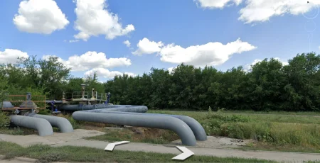 Сотни деревьев могут вырубить ради бани в центре Актобе